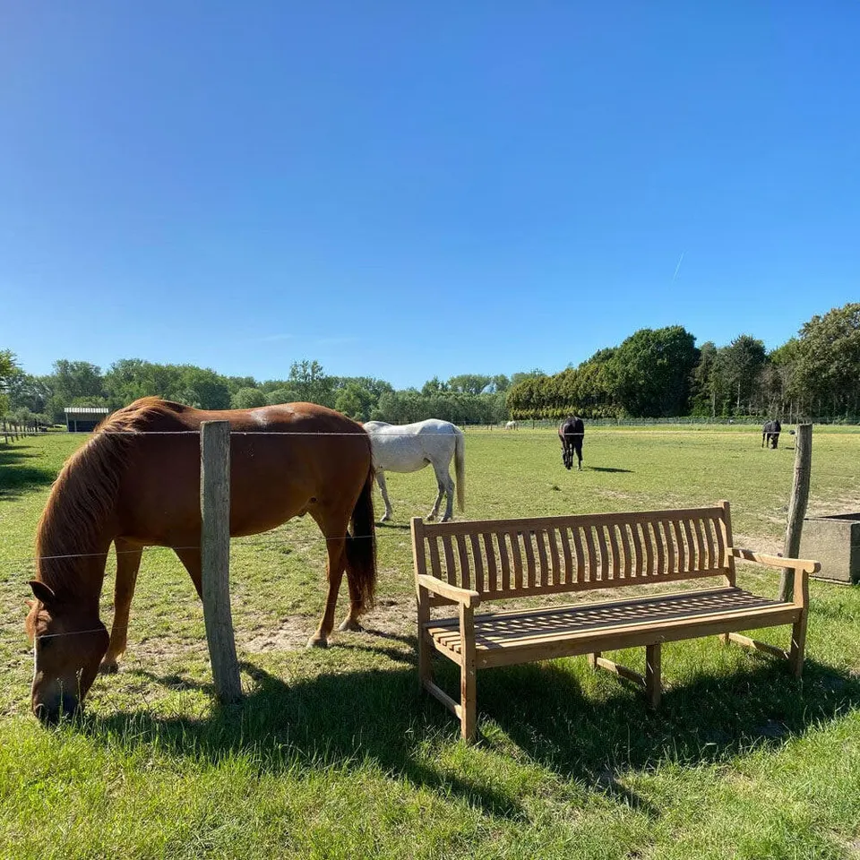 Banc en teck Dordogne 250 cm à trois pieds — photo réelle